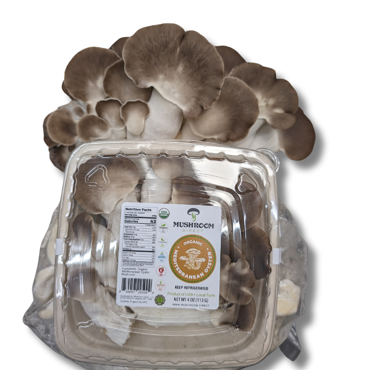 Mediterranean Oyster Mushrooms