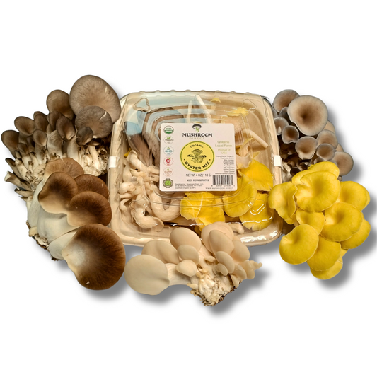 Oyster Mushroom Mix - Variety