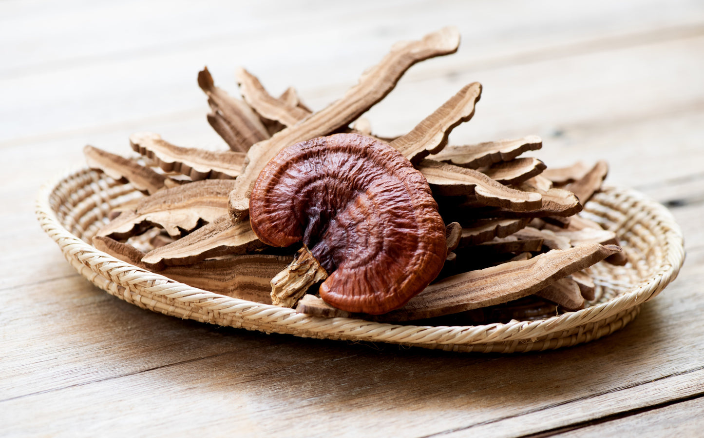 Dried Wild Reishi Mushrooms