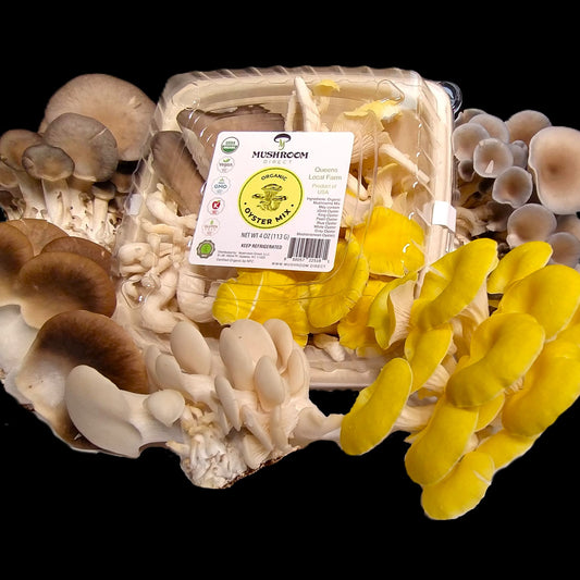 Oyster Mushroom Mix - Variety