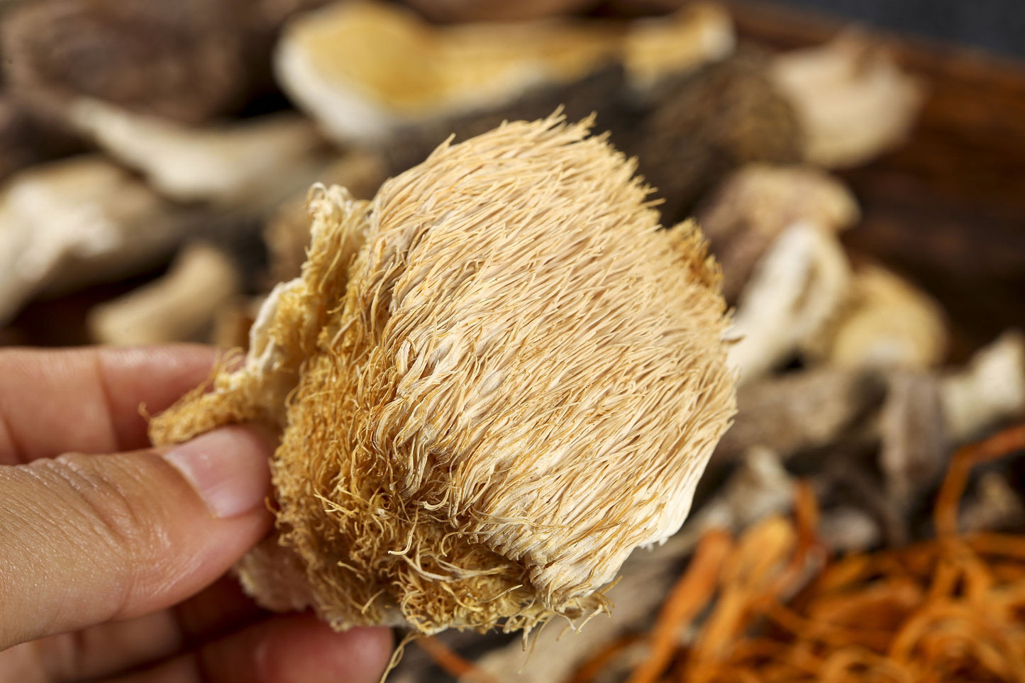 Dried Lions Mane Mushroom