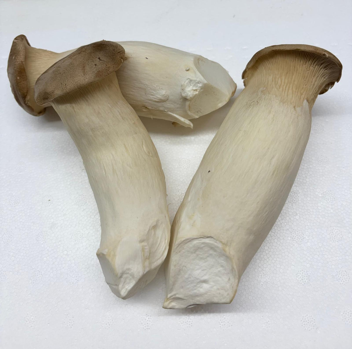 Fresh King Trumpet Mushrooms
