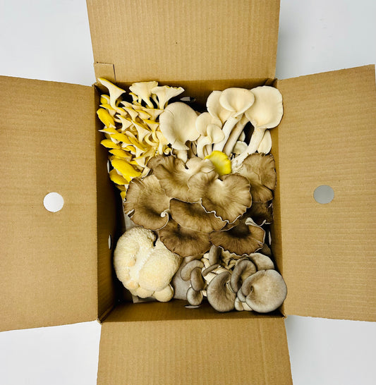 Chef Mushroom Mix - Variety