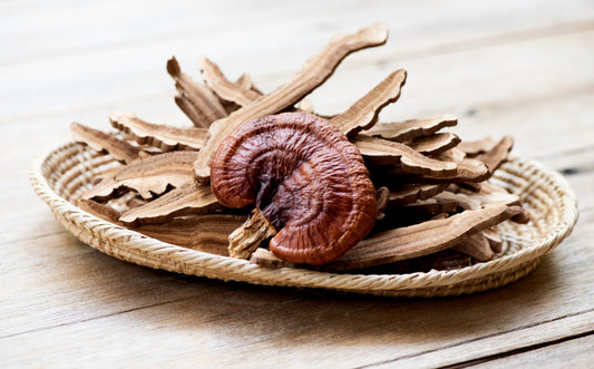 Dried Wild Reishi Mushrooms