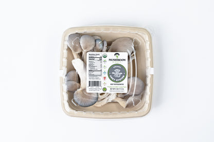 Grey Oyster Mushrooms
