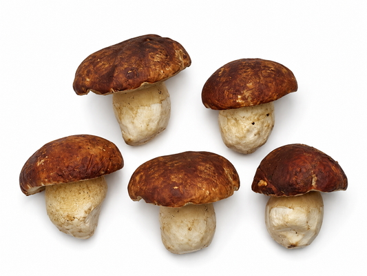 Wild Porcini Mushrooms