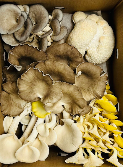Chef Mushroom Mix - Variety