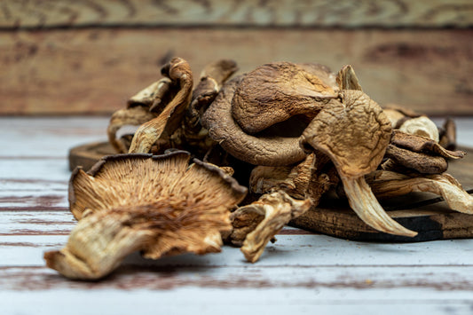 Dried Grey Oyster Mushrooms
