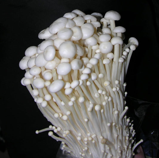Enoki Mushrooms
