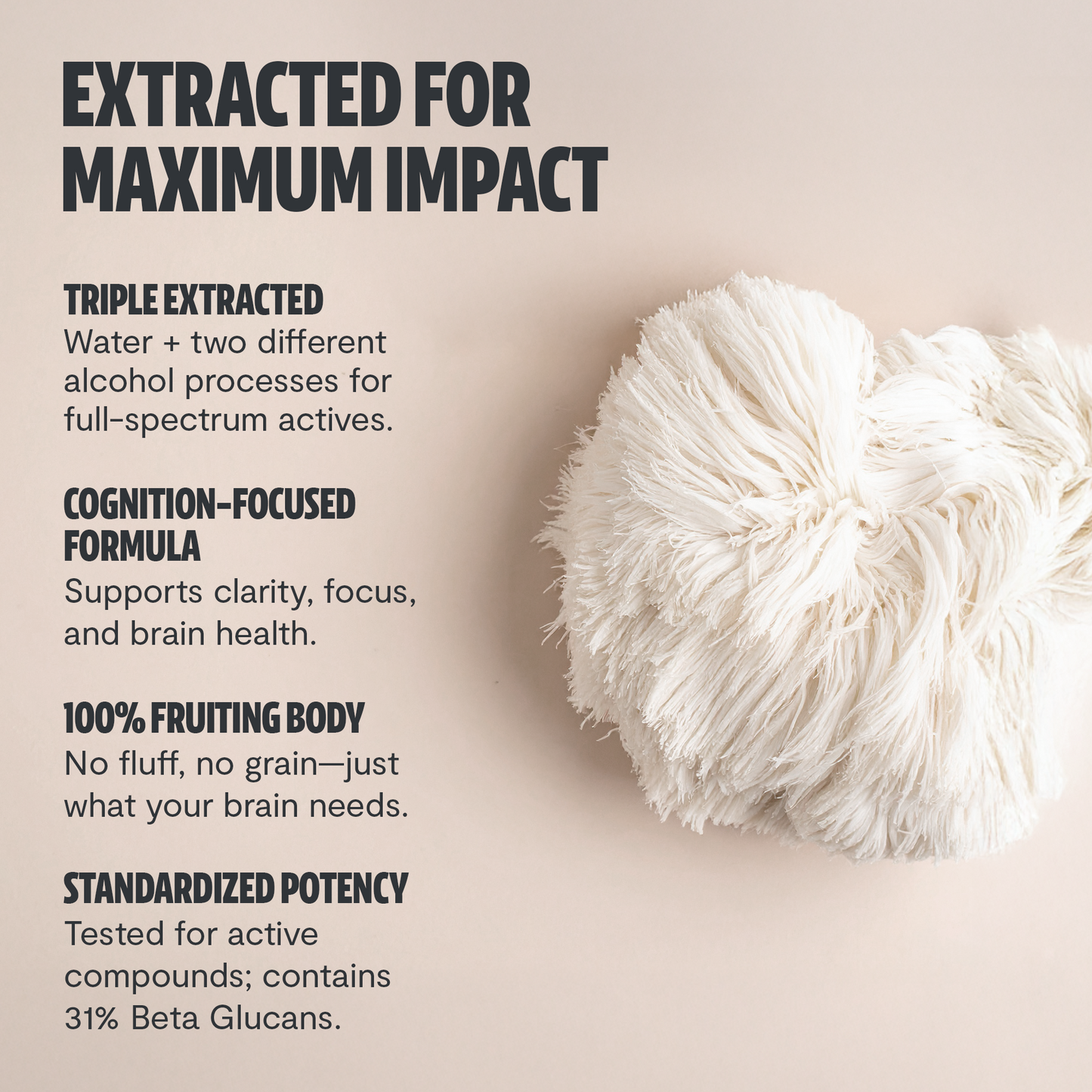 Lion's Mane Mushroom Extract Capsules