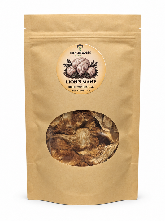 Dried Lion’s Mane Mushroom