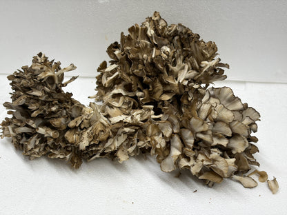 Fresh Organic Maitake Mushrooms