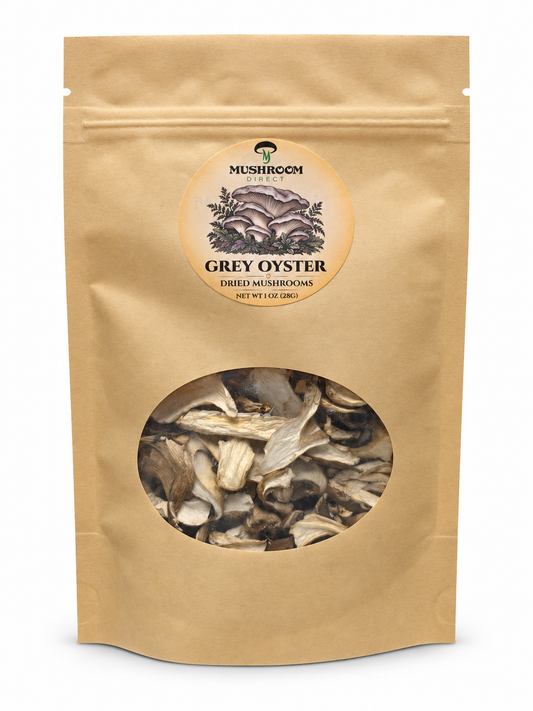 Dried Gray Oyster Mushroom