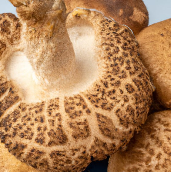 Dried Shiitake Mushrooms